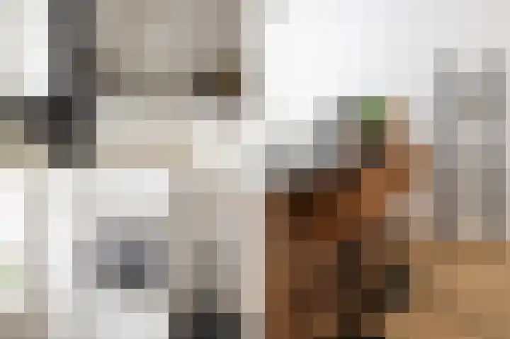Saramaccastraat 7 Purmerend thumbnail 19