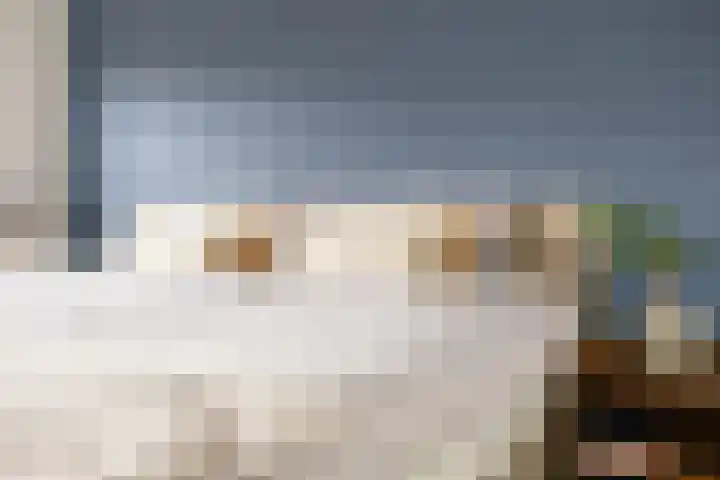 Saramaccastraat 7 Purmerend thumbnail 22