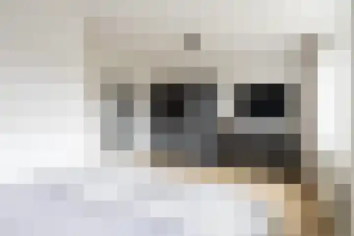 Saramaccastraat 7 Purmerend thumbnail 24