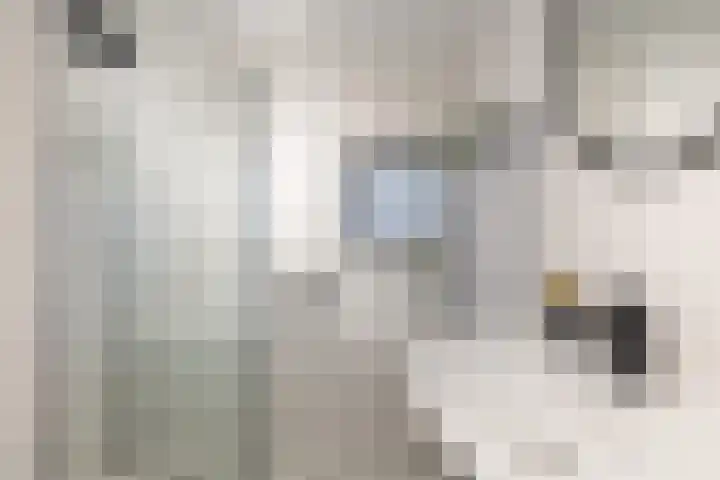 Saramaccastraat 7 Purmerend thumbnail 28