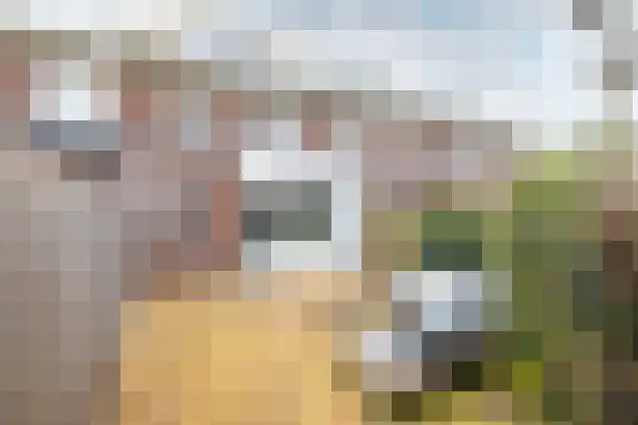 Saramaccastraat 7 Purmerend thumbnail 37