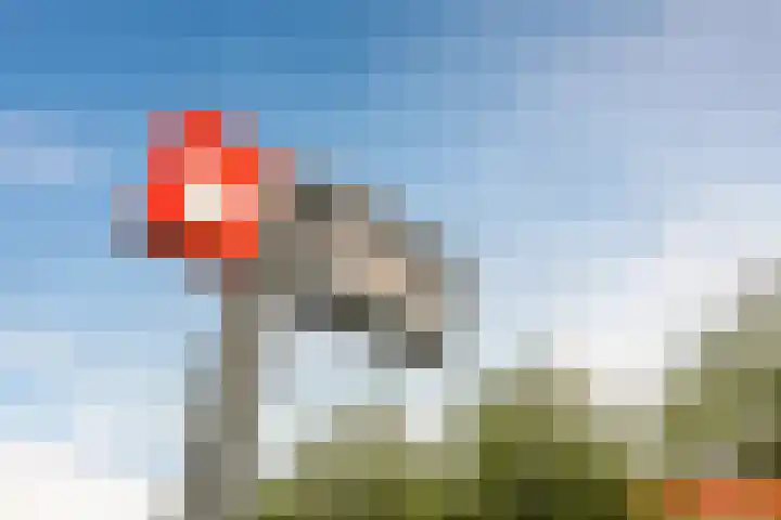 Saramaccastraat 7 Purmerend thumbnail 39