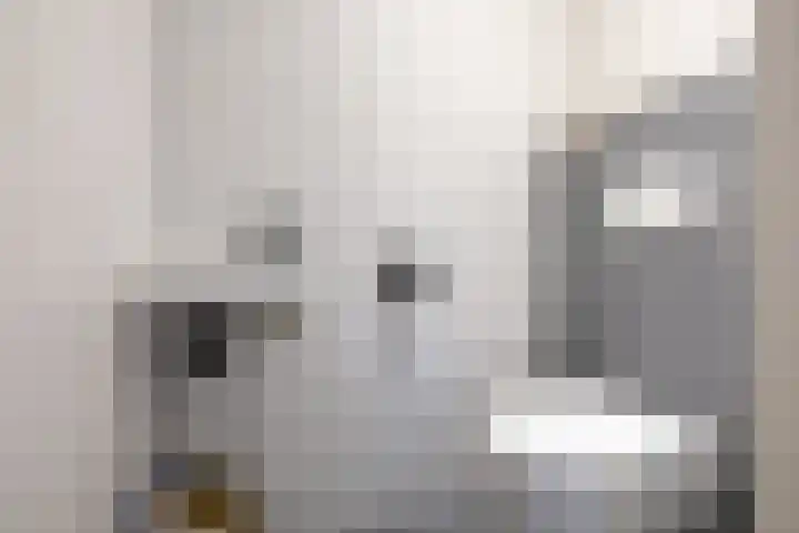 Saramaccastraat 7 Purmerend thumbnail 8