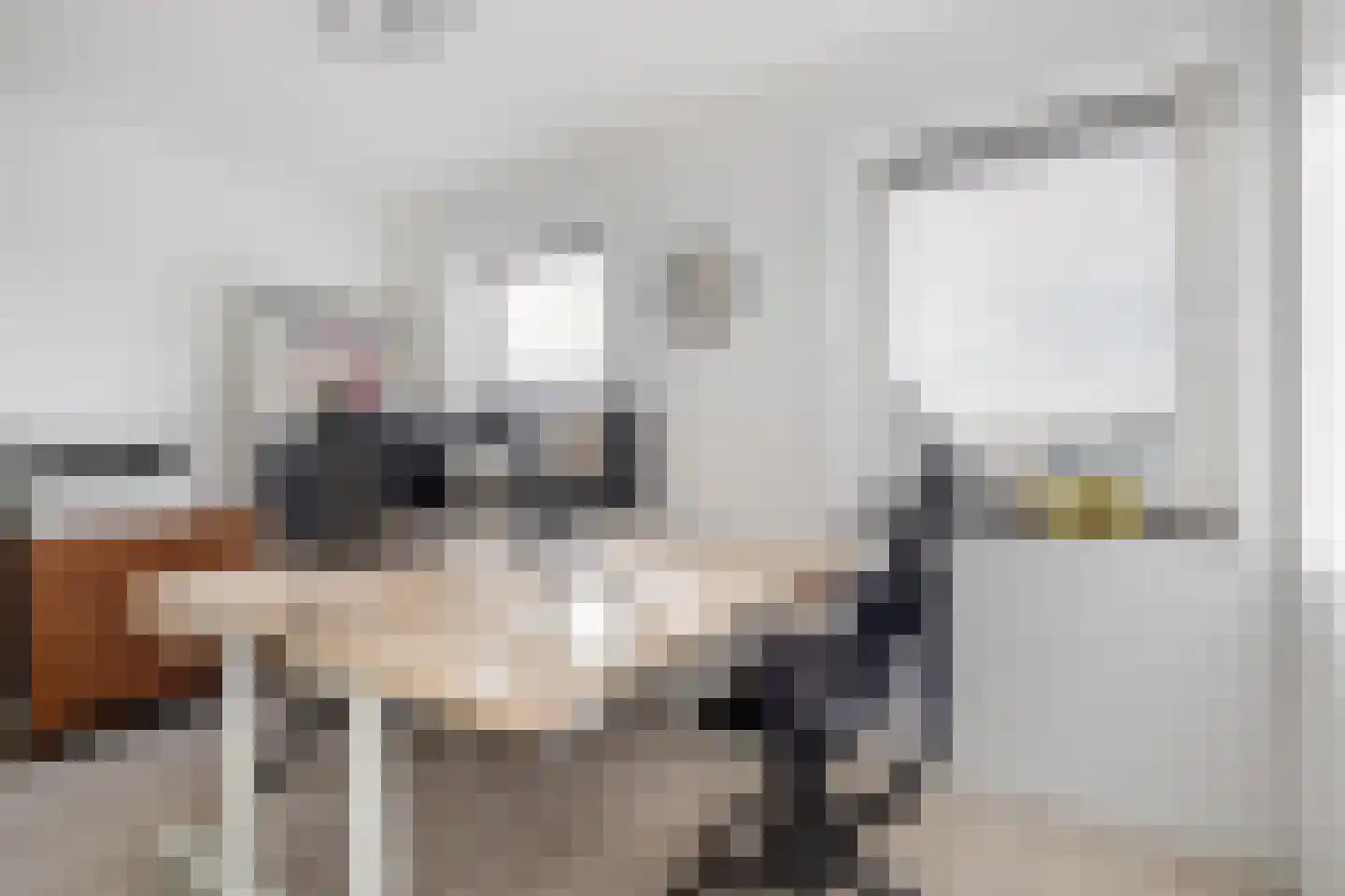 Saranafort 23 Leiderdorp thumbnail 20