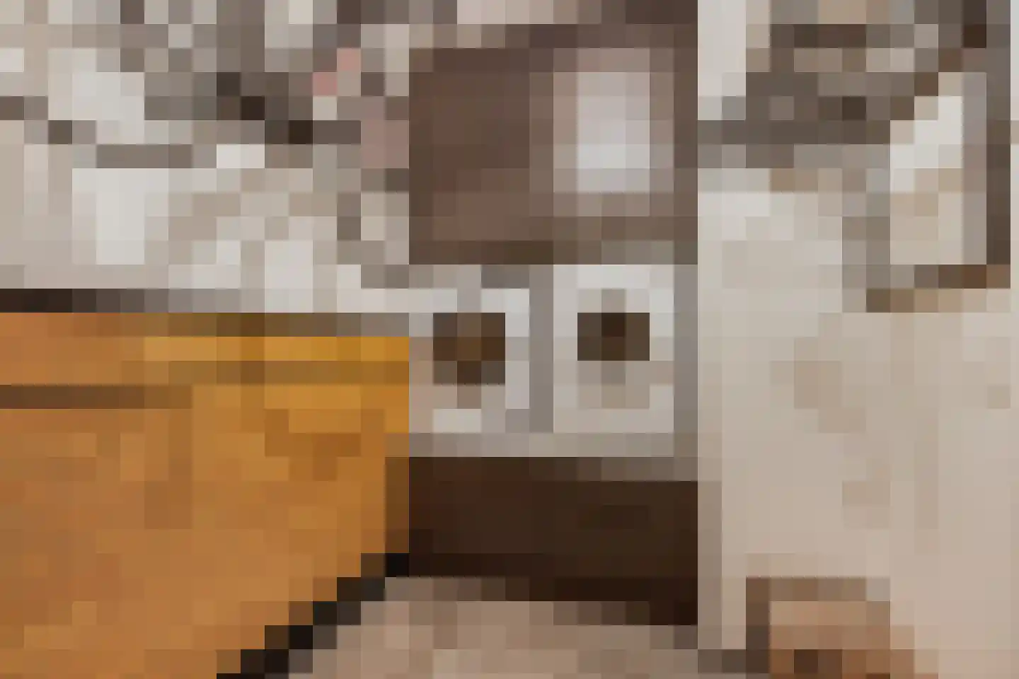 Saranafort 23 Leiderdorp thumbnail 5
