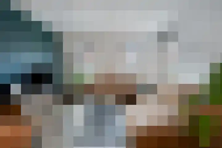 Sarastraat 22 Veendam thumbnail 11