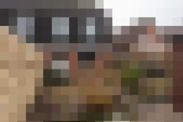Sarastraat 44 Veendam thumbnail 32