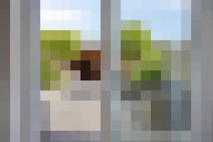 Sarastraat 66 Veendam thumbnail 8