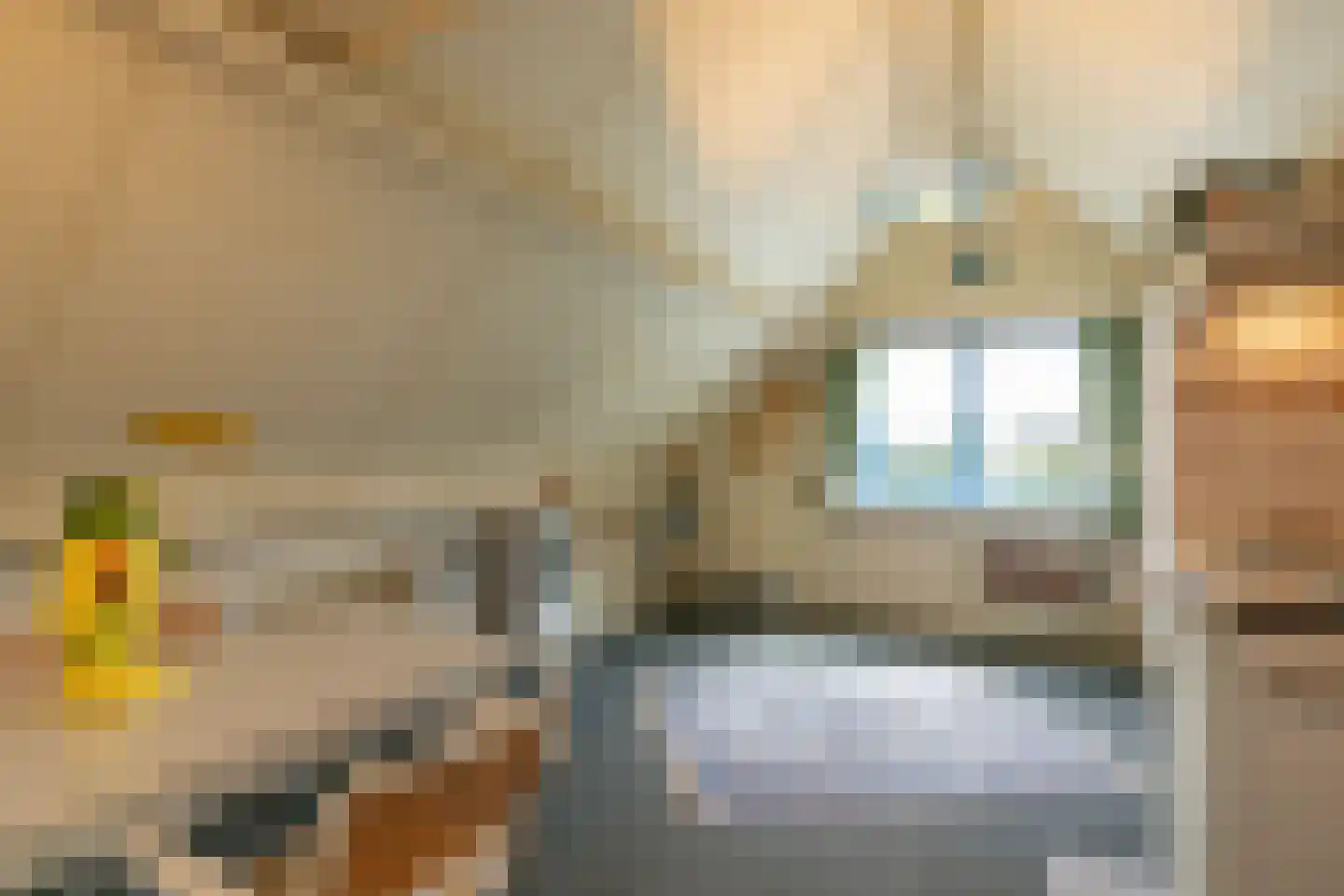 Sardijngeullaan 6 Koudekerke thumbnail 26