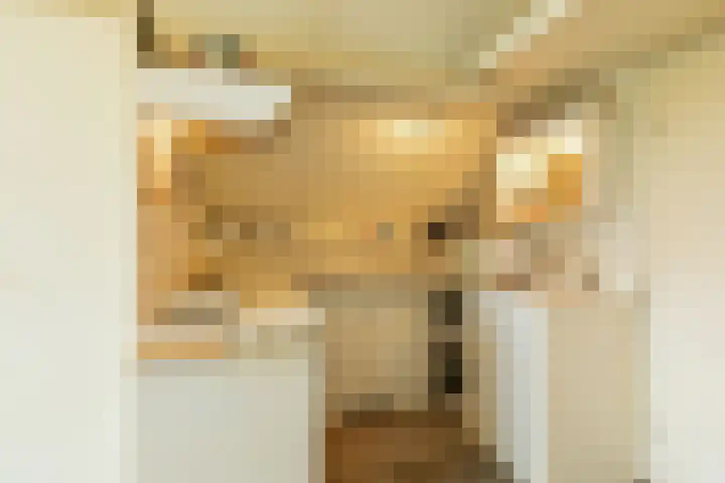 Sardijngeullaan 6 Koudekerke thumbnail 28