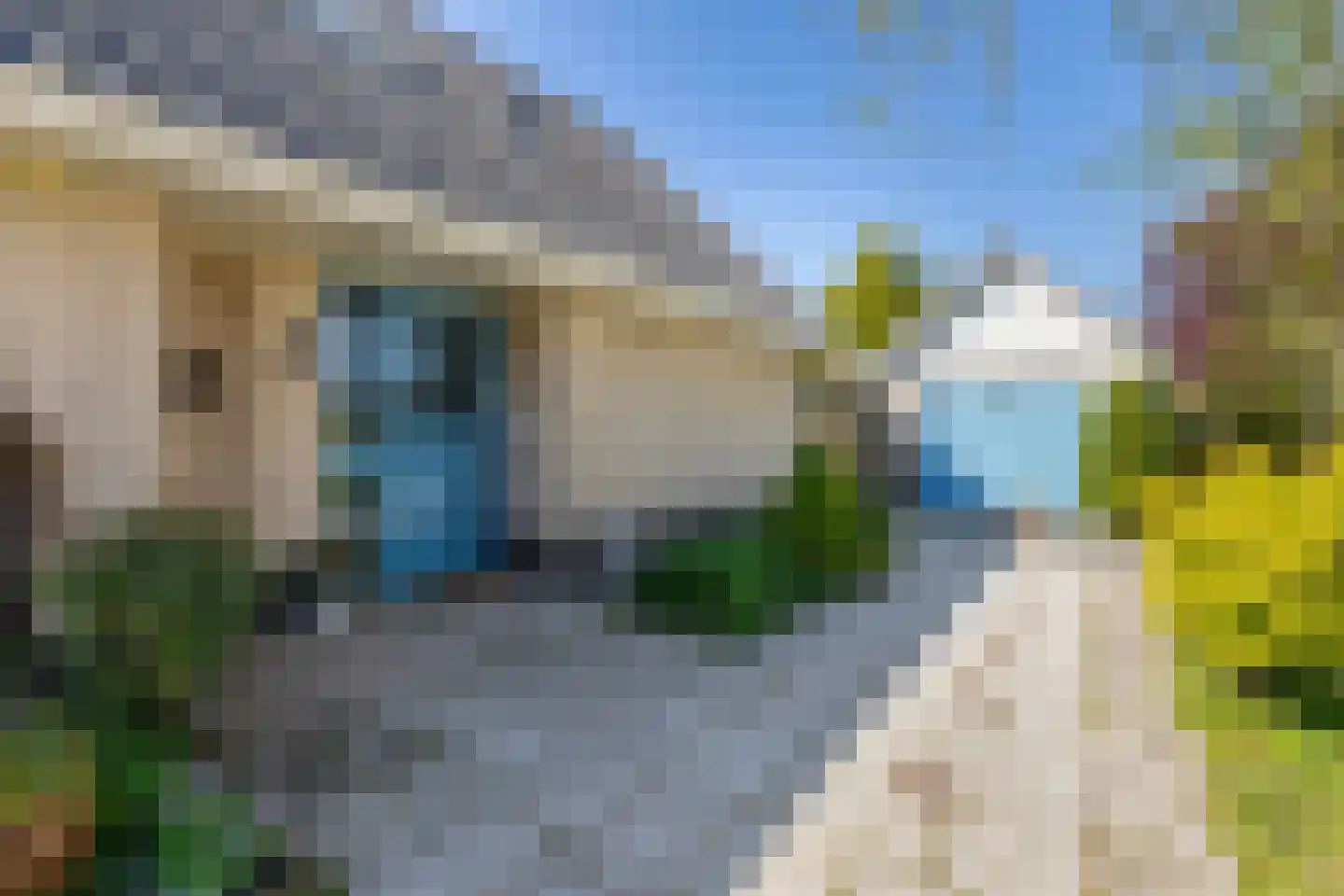 Sardijngeullaan 6 Koudekerke thumbnail 38