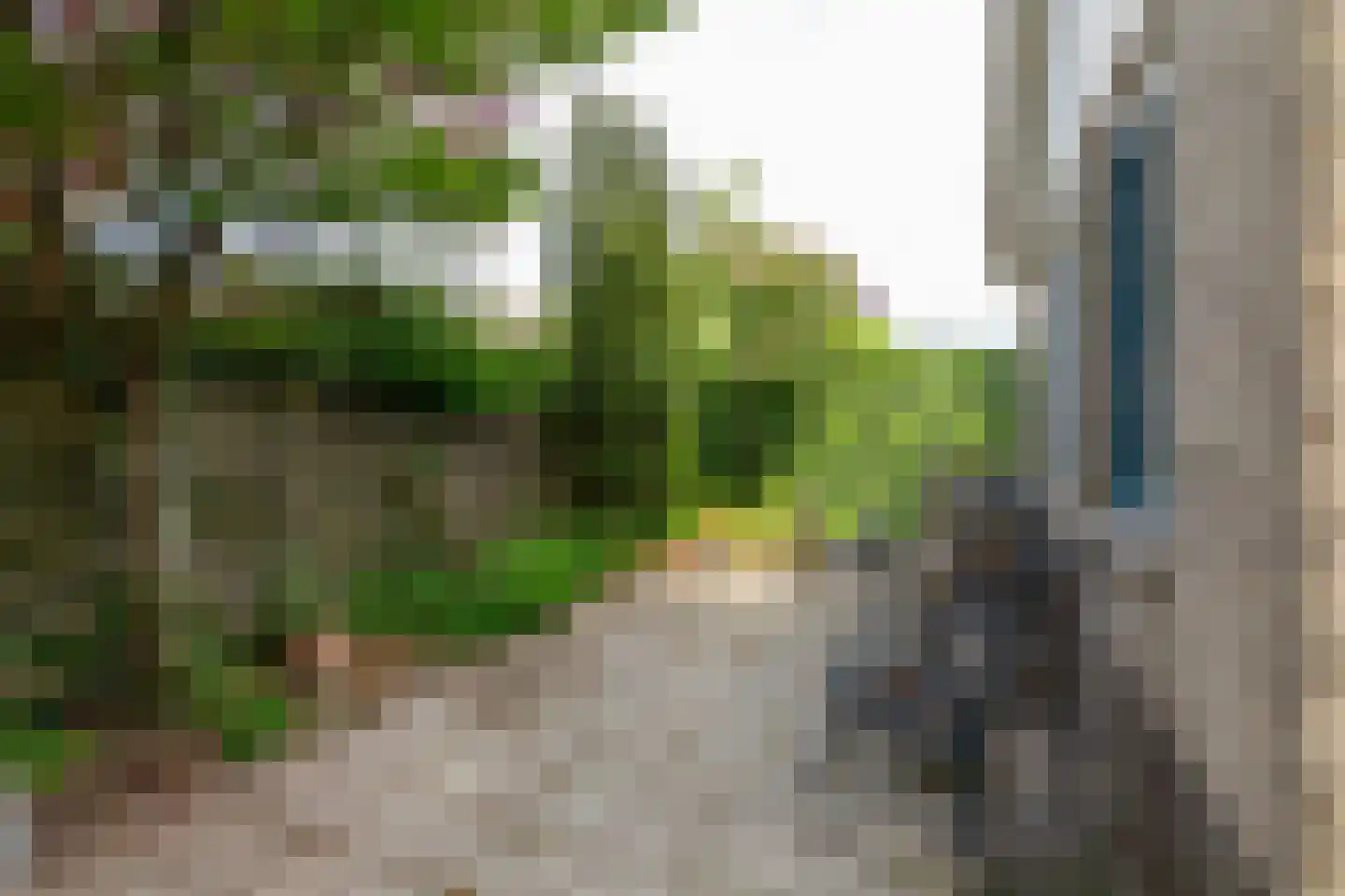 Sardijngeullaan 6 Koudekerke thumbnail 47