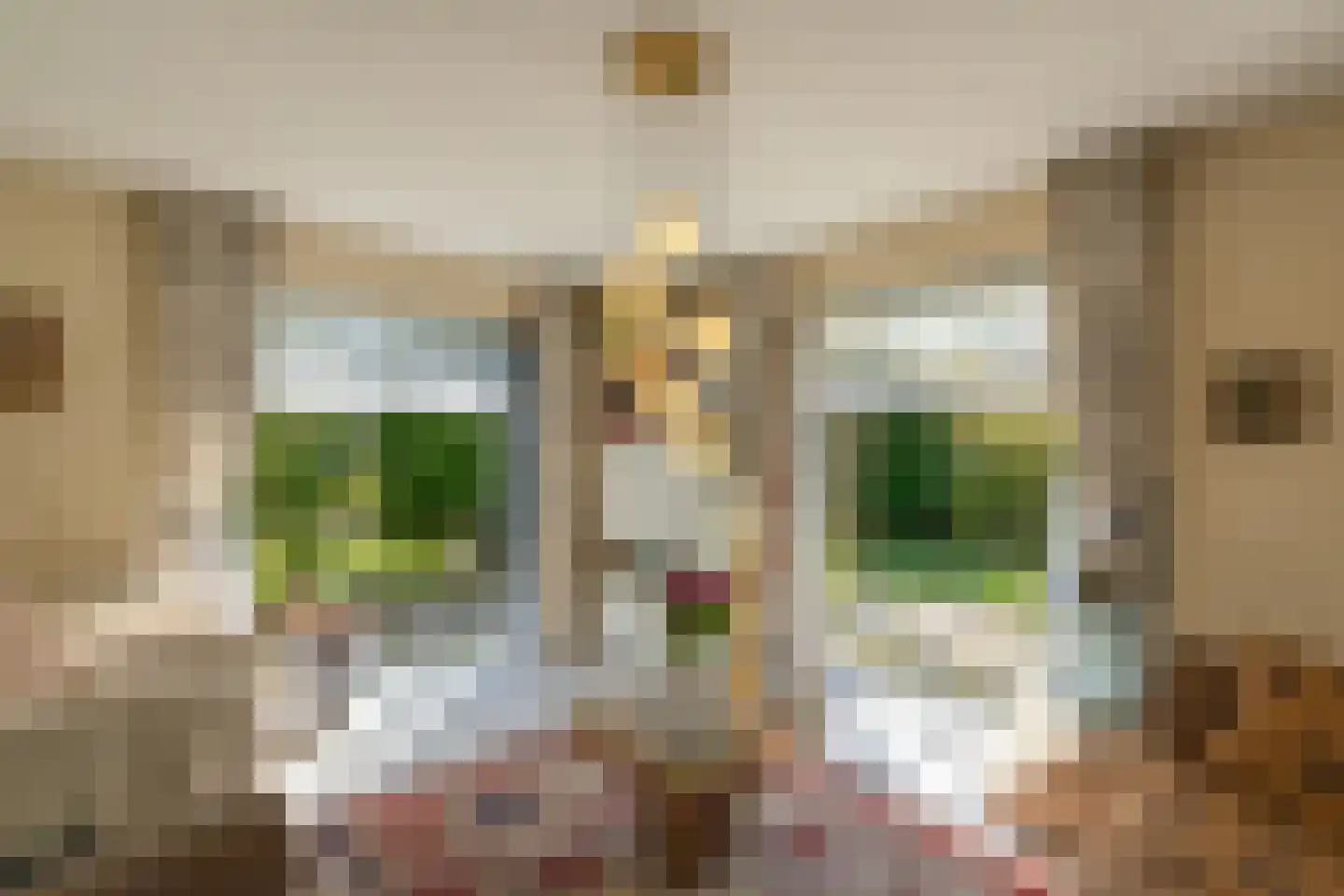 Sardijngeullaan 6 R Koudekerke thumbnail 14