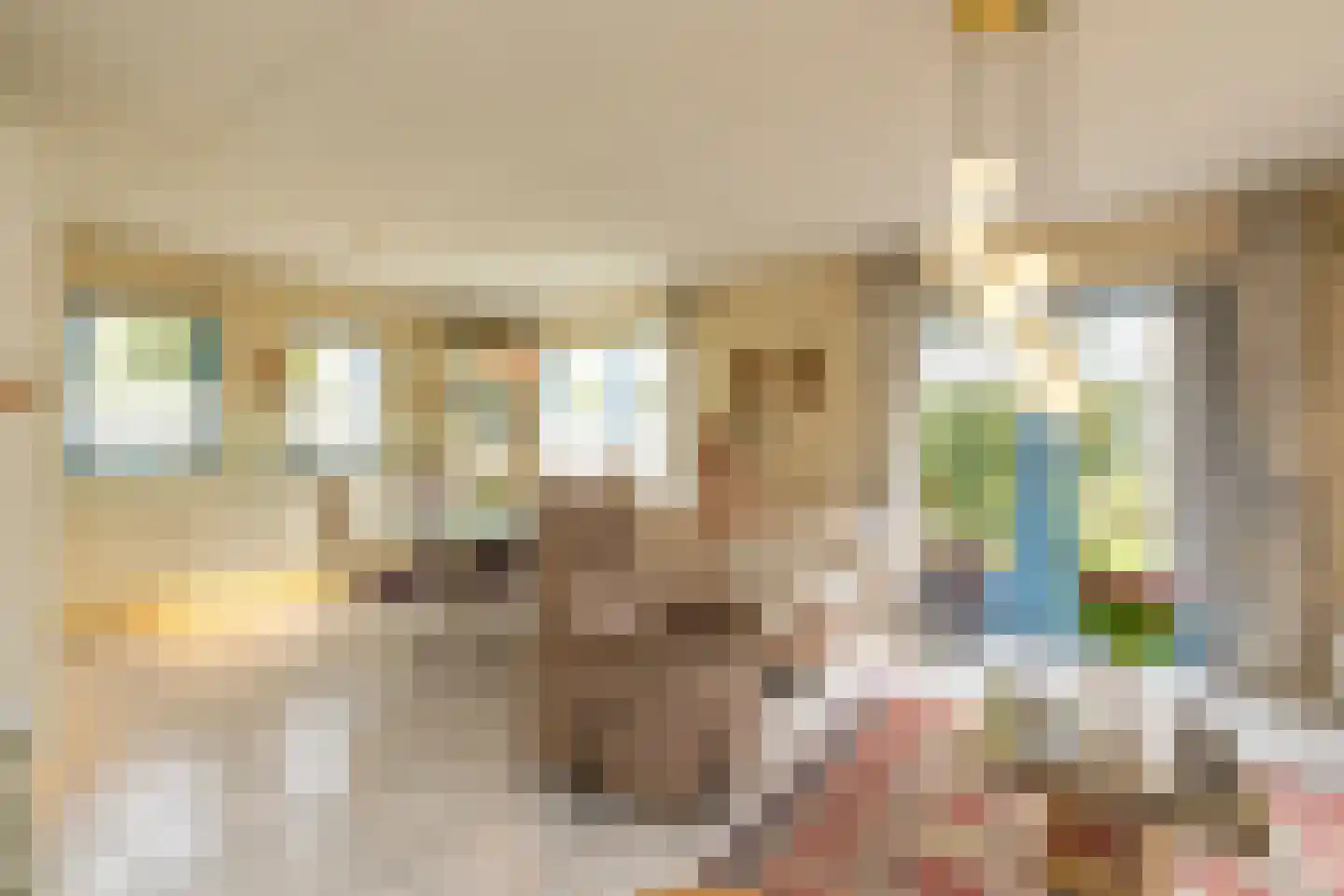 Sardijngeullaan 6 R Koudekerke thumbnail 15