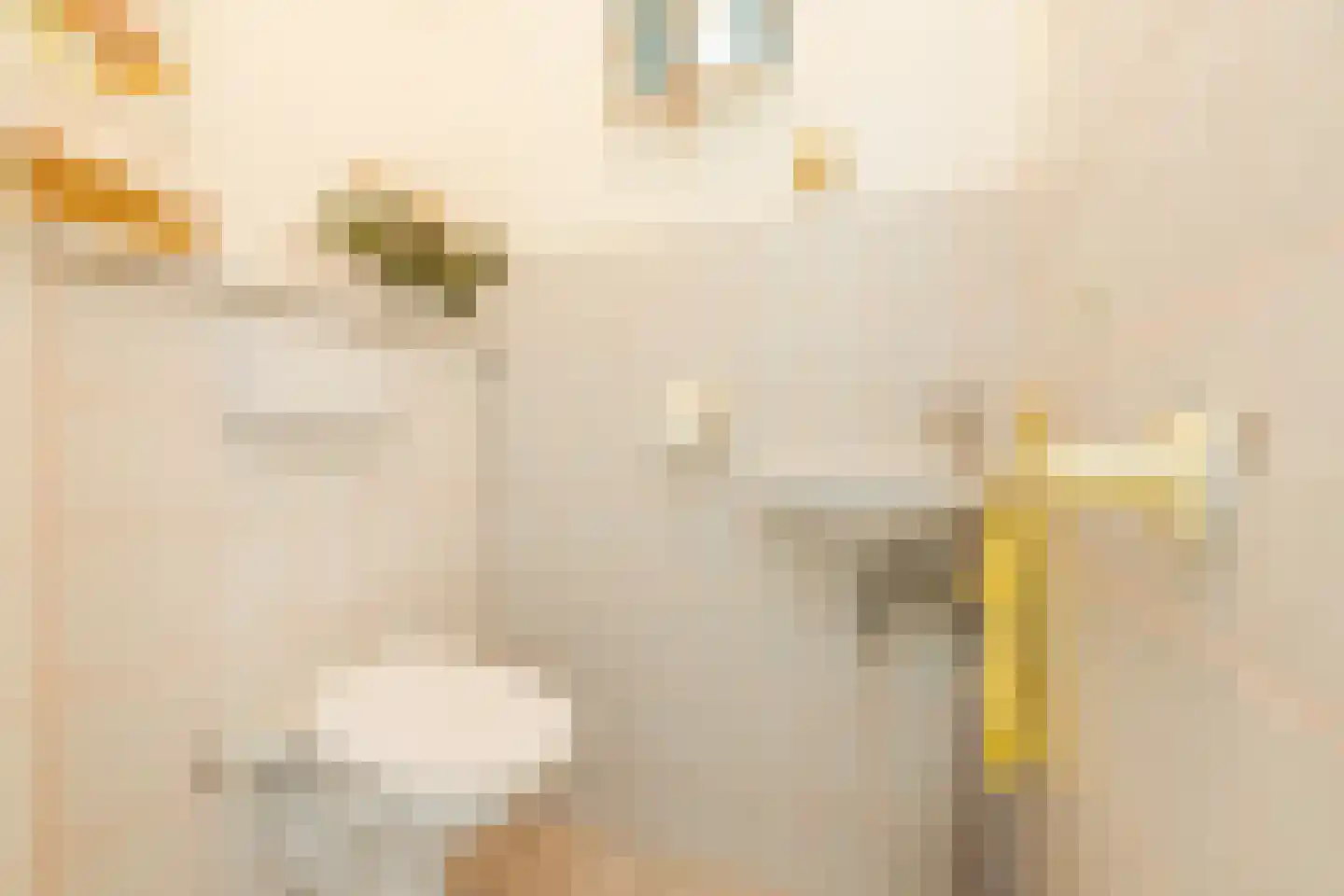 Sardijngeullaan 6 R Koudekerke thumbnail 22
