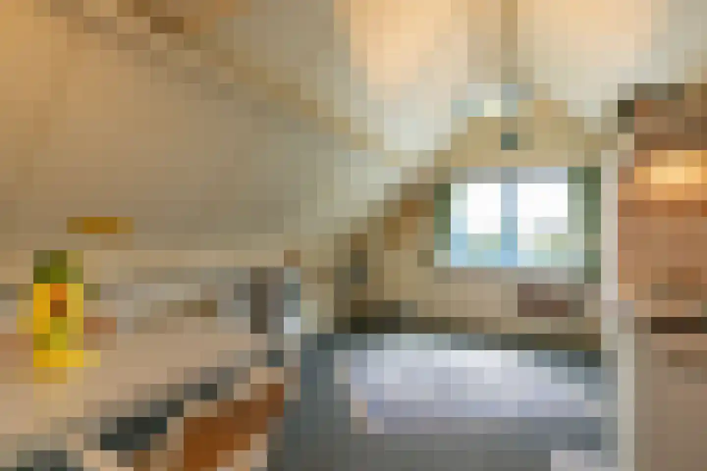 Sardijngeullaan 6 R Koudekerke thumbnail 26