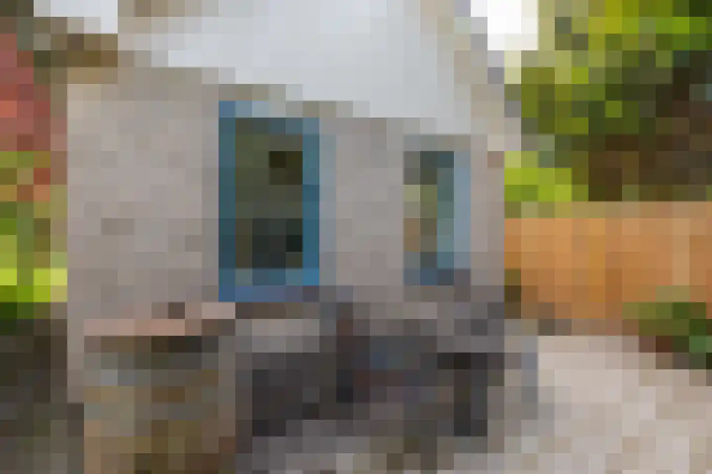 Sardijngeullaan 6 R Koudekerke thumbnail 48