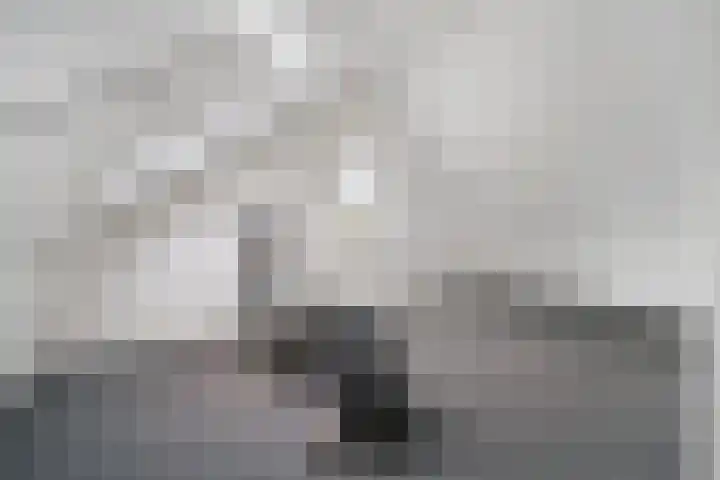 Sardijngeulstraat 15 Middelburg thumbnail 23