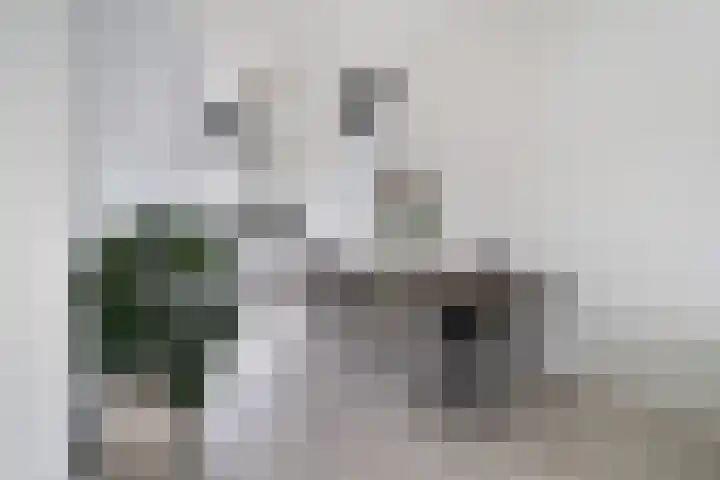 Sardijngeulstraat 15 Middelburg thumbnail 8
