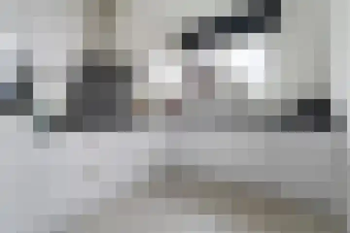 Sardijngeulstraat 15 Middelburg thumbnail 9