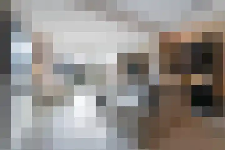 Sardijngeulstraat 27 Middelburg thumbnail 11