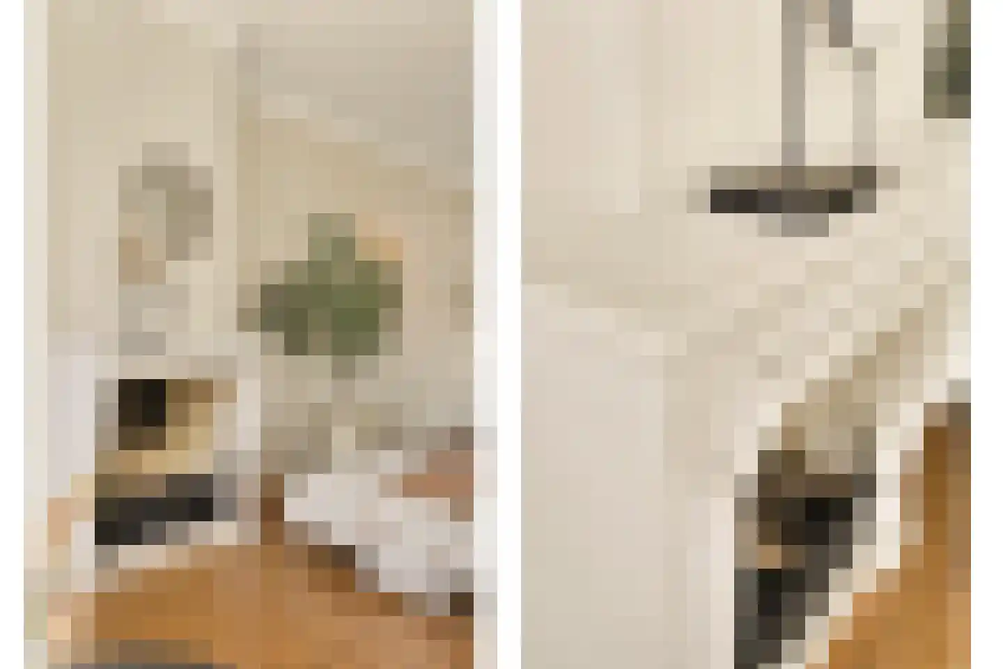 Sardiniëpad 7 Eindhoven thumbnail 16