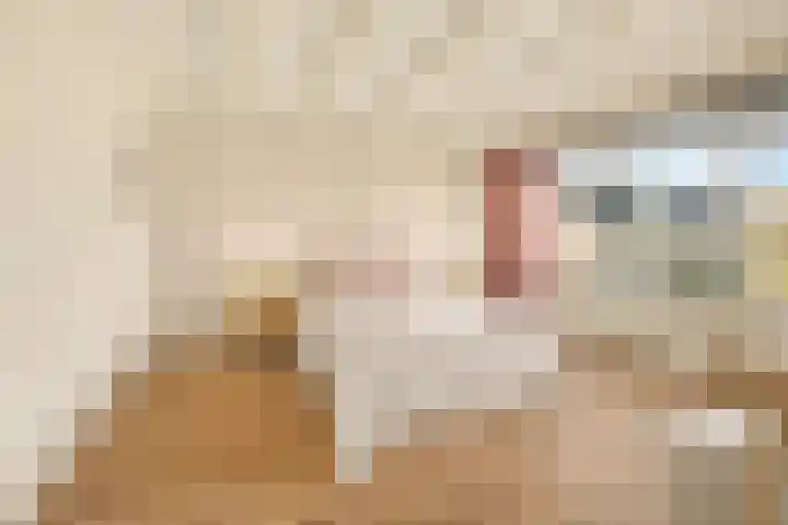 Sardiniëpad 7 Eindhoven thumbnail 30