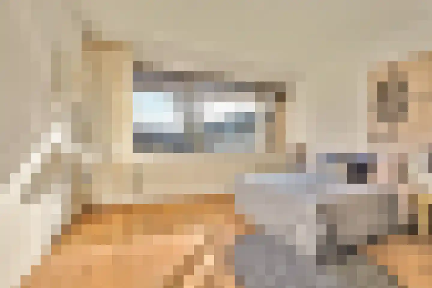Sardiniëpad 7 Eindhoven thumbnail 35