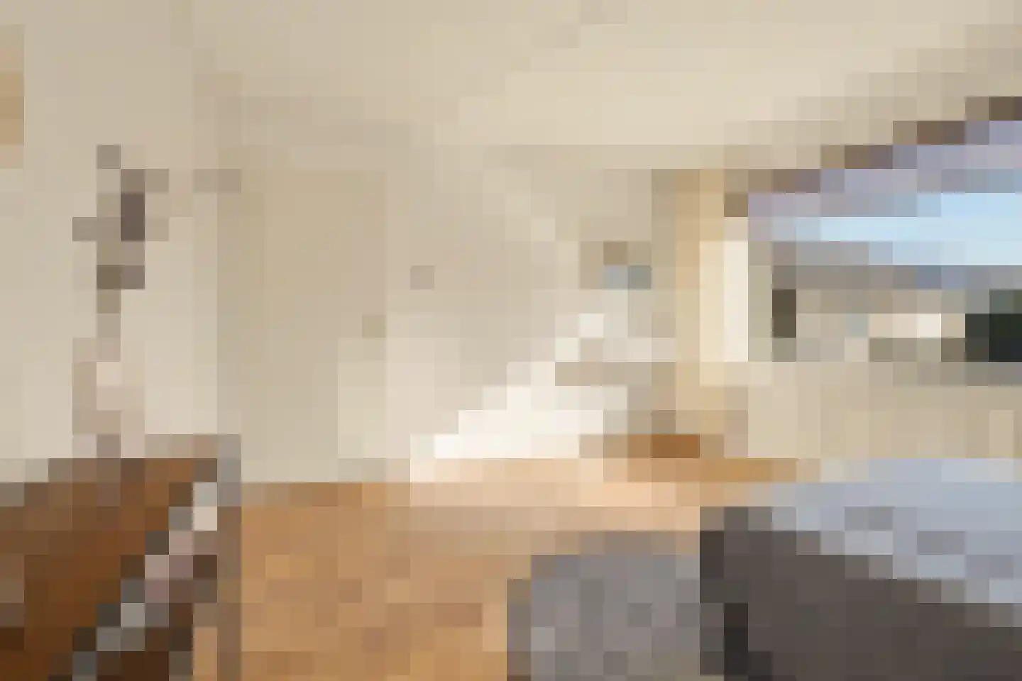 Sardiniëpad 7 Eindhoven thumbnail 37