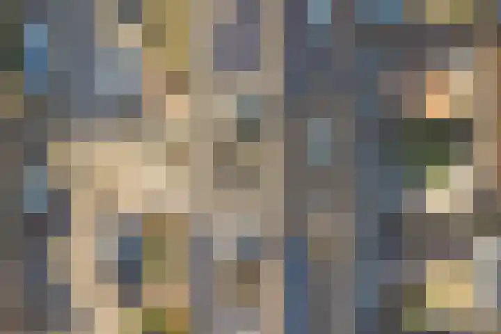 Sardiniëpad 7 Eindhoven thumbnail 4