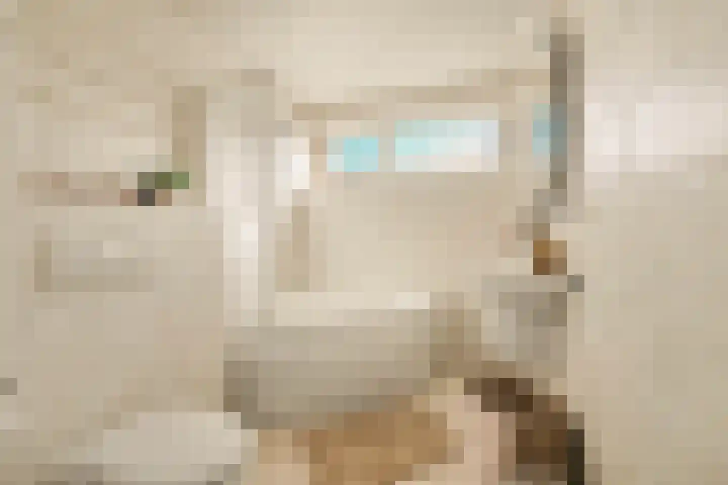 Sardiniëpad 7 Eindhoven thumbnail 42