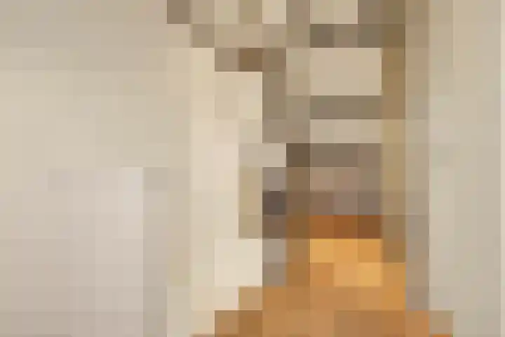 Sardiniëpad 7 Eindhoven thumbnail 44