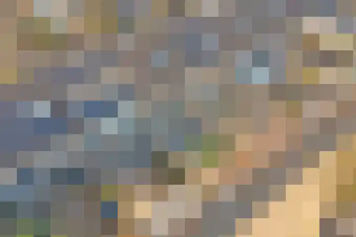 Sardiniëpad 7 Eindhoven thumbnail 57