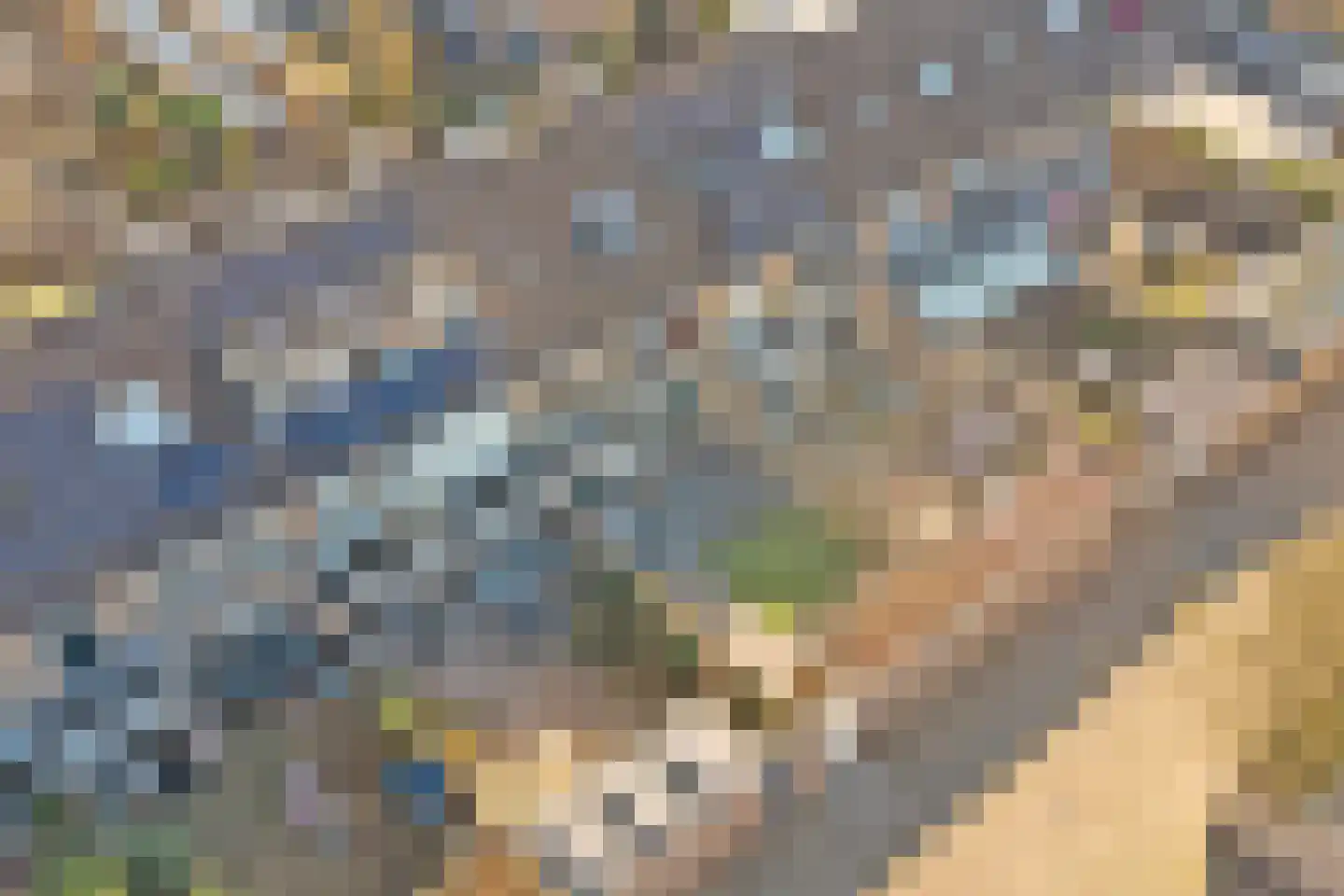 Sardiniëpad 7 Eindhoven thumbnail 57