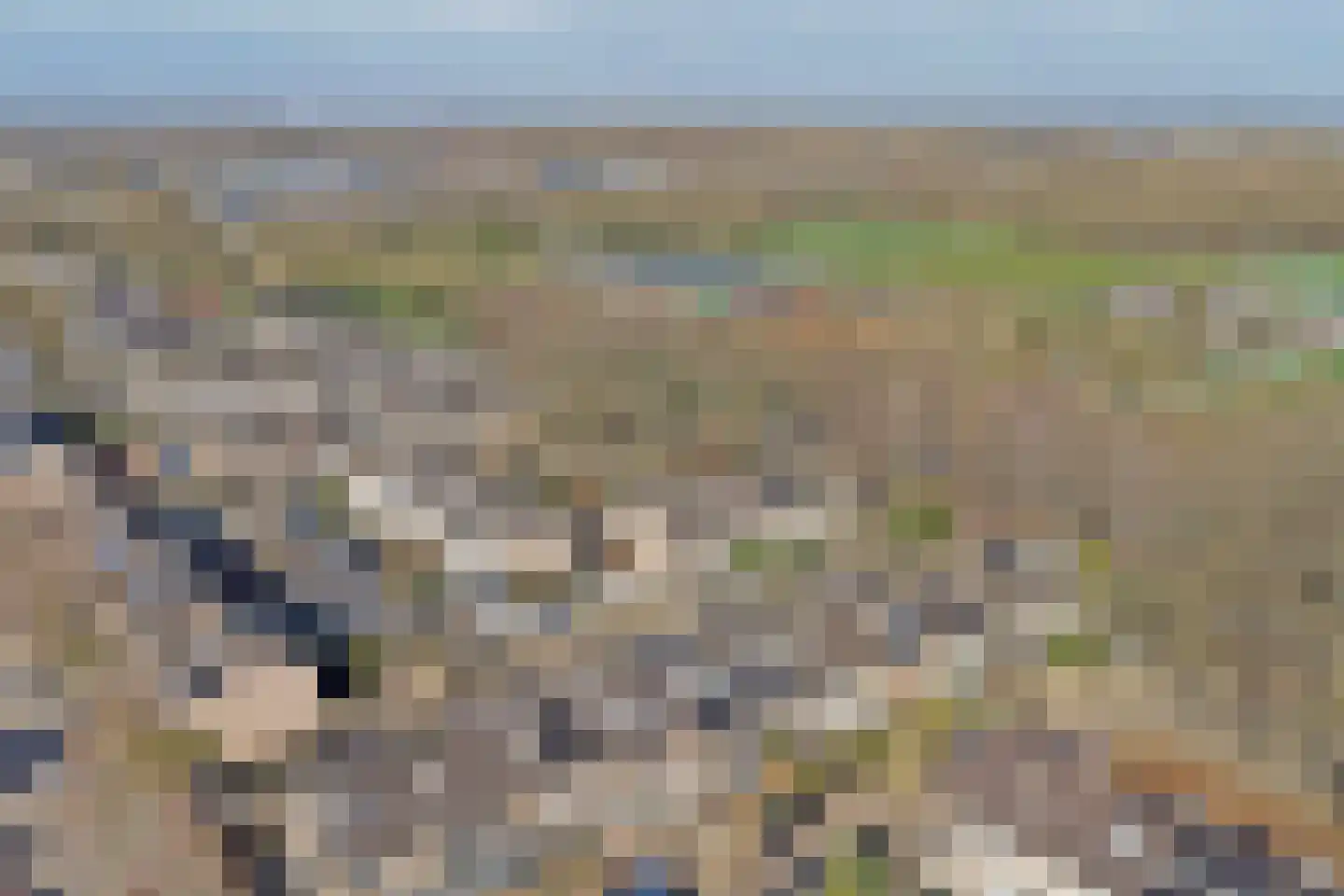 Sardiniëpad 7 Eindhoven thumbnail 58