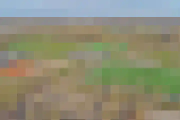Sardiniëpad 7 Eindhoven thumbnail 59