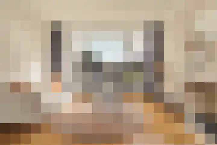 Sardiniëpad 7 Eindhoven thumbnail 9