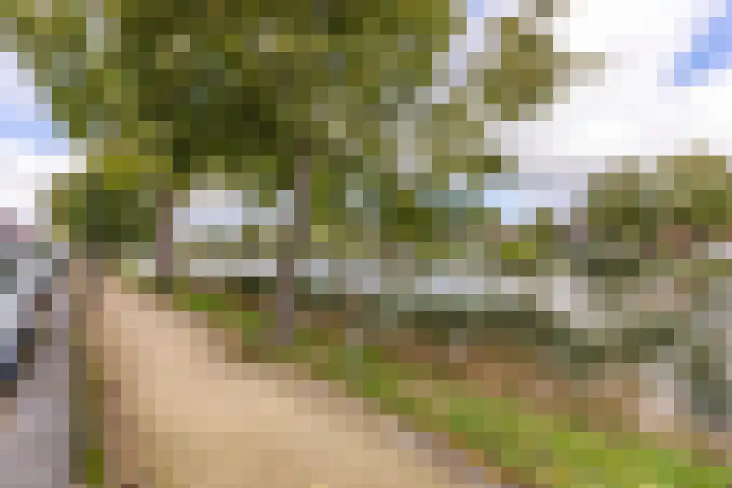 Sarema 23 Zaandam thumbnail 32