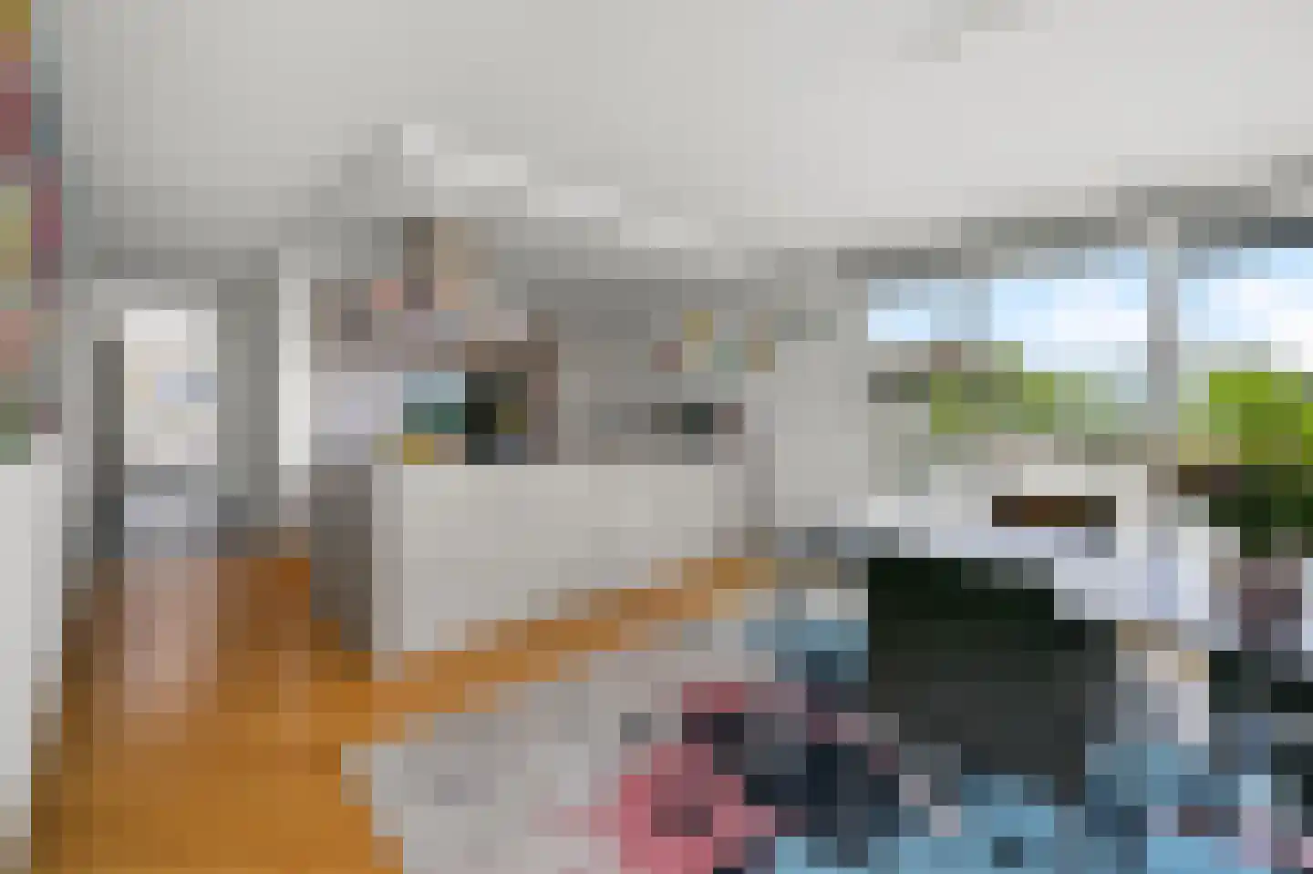 Sarema 33 Zaandam thumbnail 13