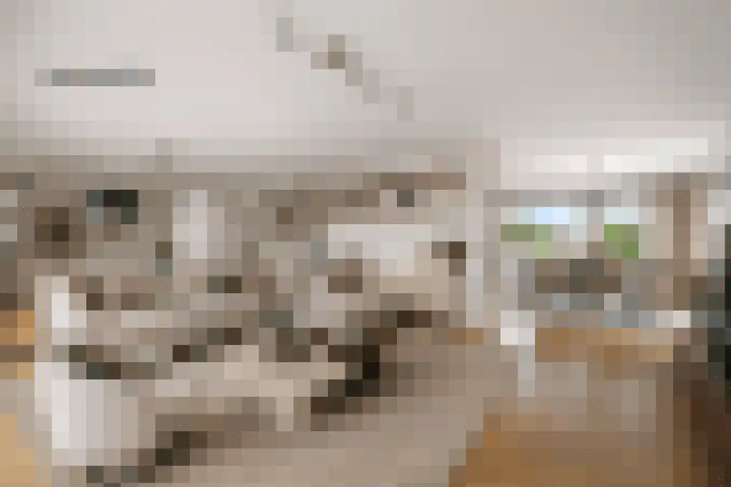 Sarema 33 Zaandam thumbnail 15