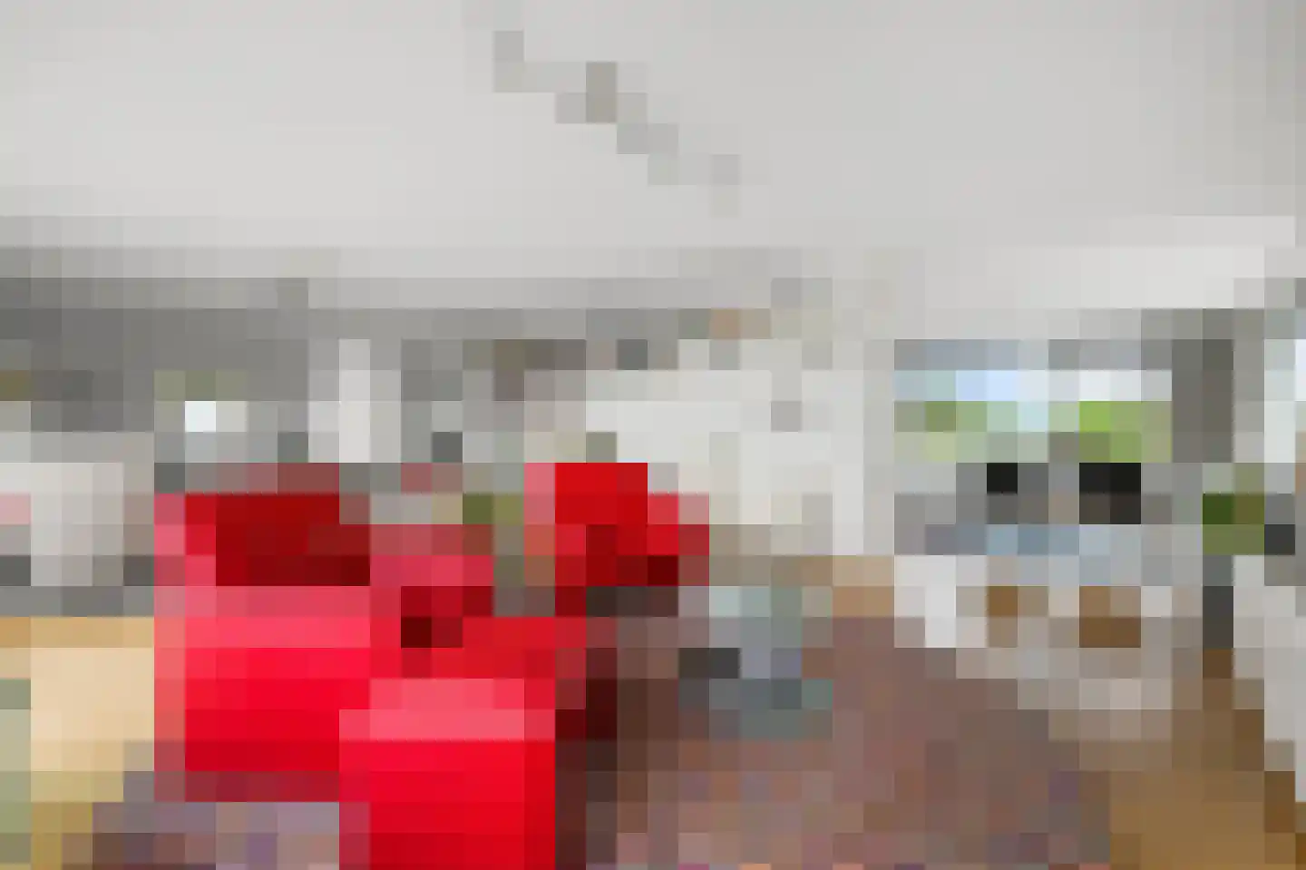 Sarema 33 Zaandam thumbnail 4