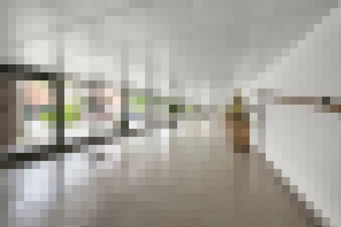 Sarema 33 Zaandam thumbnail 42