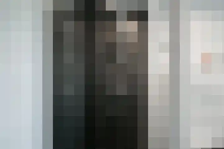 Sarinkkamp 62 Hengelo (Gld) thumbnail 34