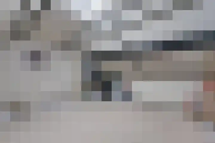 Sarinkkamp 62 Hengelo (Gld) thumbnail 37