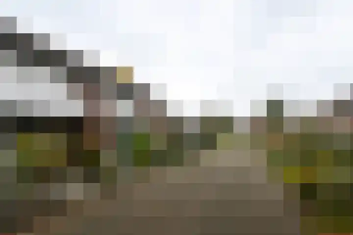 Sarinkkamp 62 Hengelo (Gld) thumbnail 4