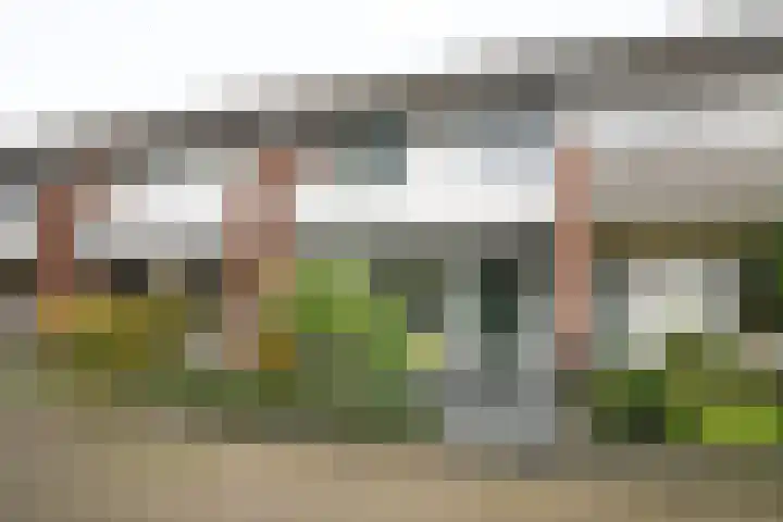 Sarinkkamp 62 Hengelo (Gld) thumbnail 6