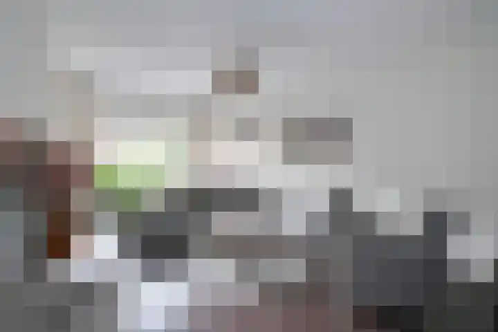 Sarinkkamp 62 Hengelo (Gld) thumbnail 8