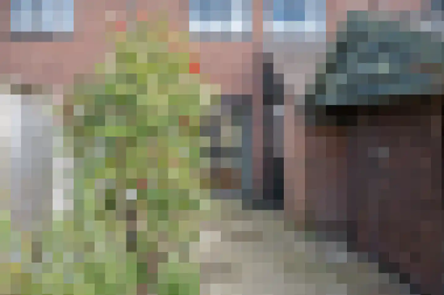 Sarinkkamp 70 Hengelo (Gld) thumbnail 34
