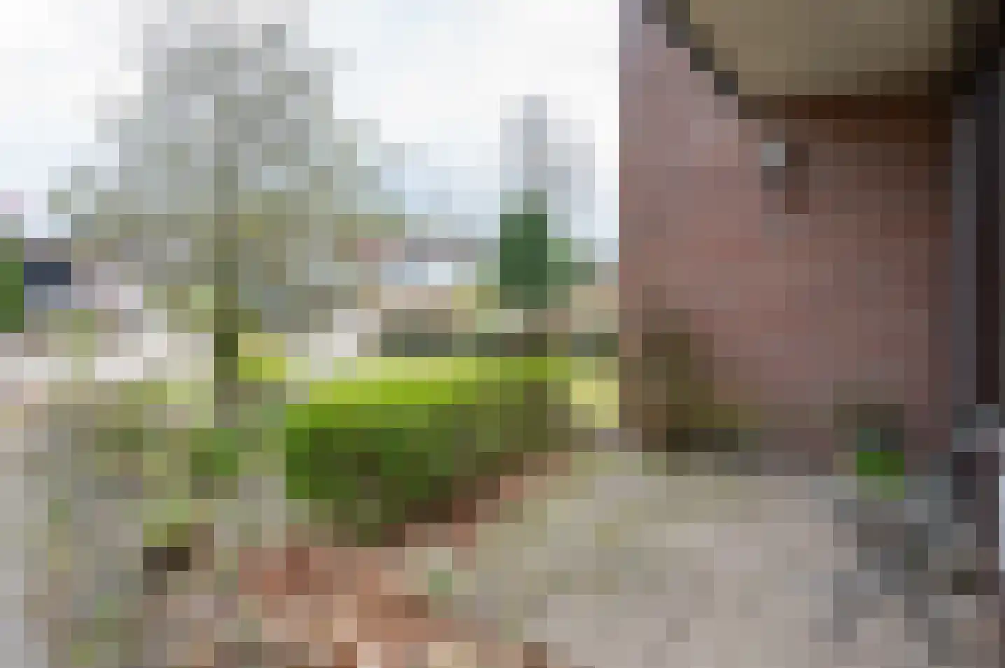 Sarinkkamp 70 Hengelo (Gld) thumbnail 6