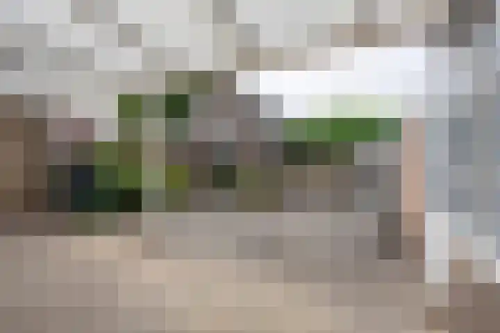 Saroleaplantsoen 1 Landgraaf thumbnail 19